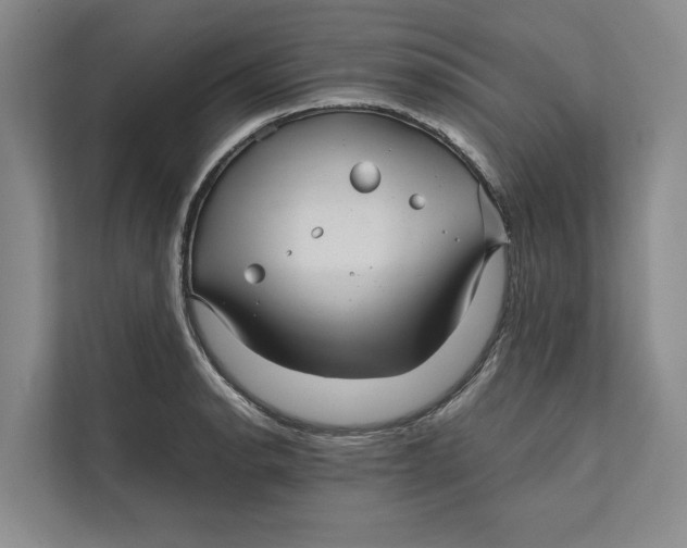 X0000111841134200908131413