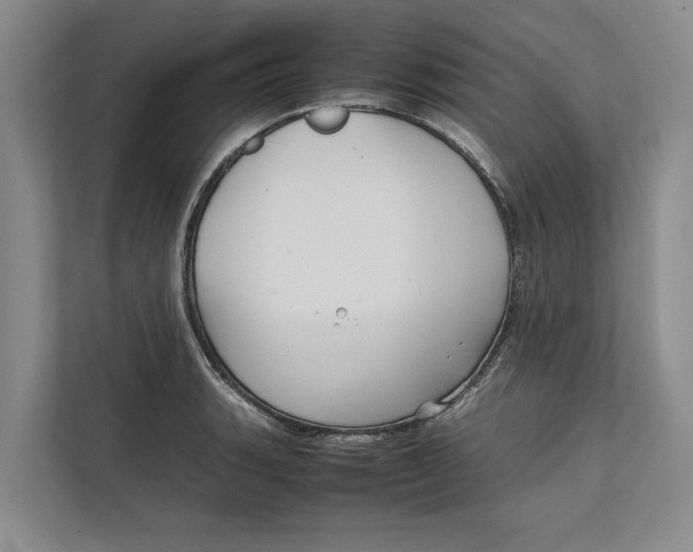 X0000111841135200908131413