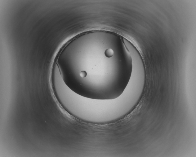 X0000111841136200908131413