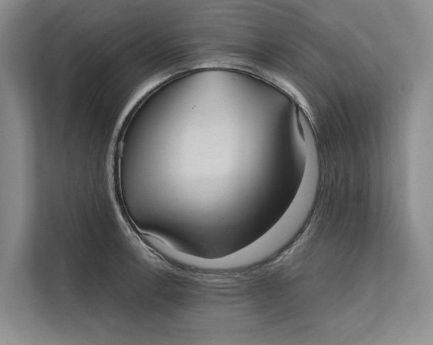 X0000111841138200908131413