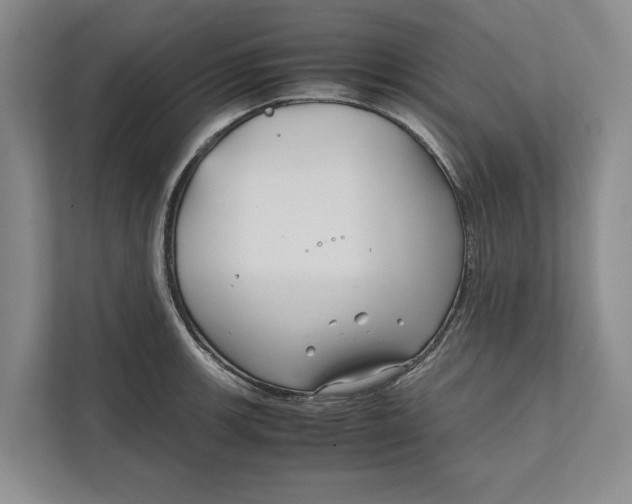 X0000111841139200908131413