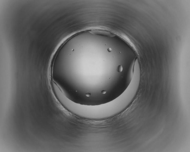 X0000111841140200908131413