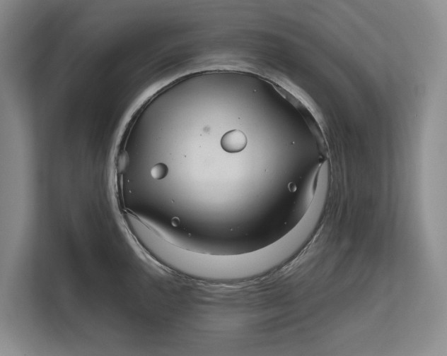 X0000111841144200908131413