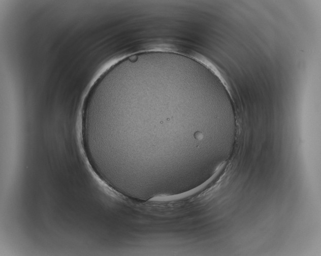 X0000111841147200908131413