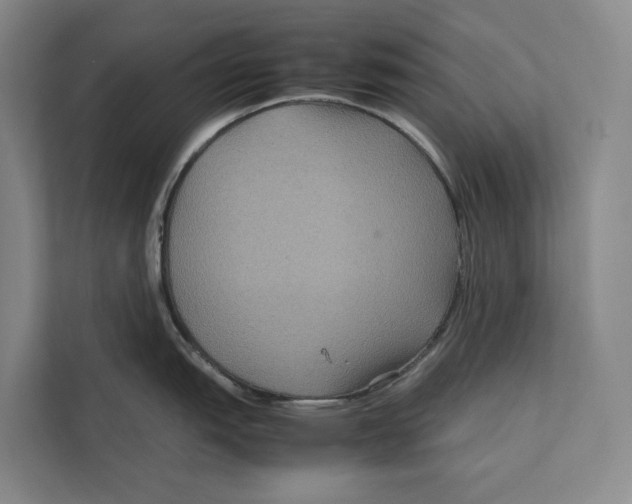 X0000111841151200908131413