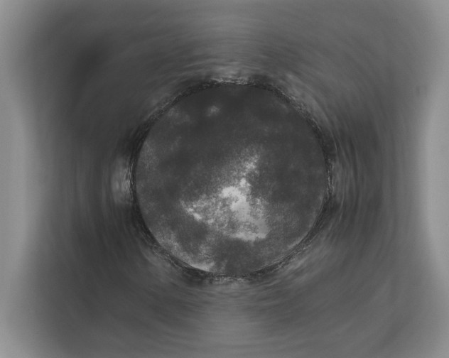 X0000111841154200908131413