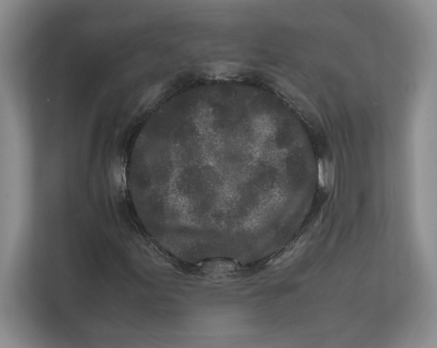 X0000111841155200908131413