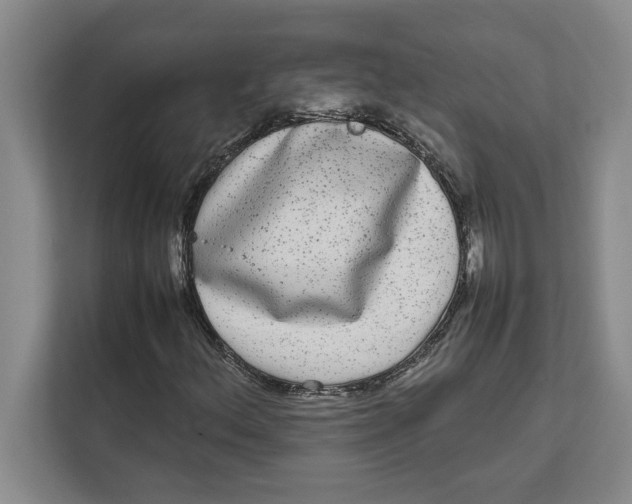 X0000111841156200908131413