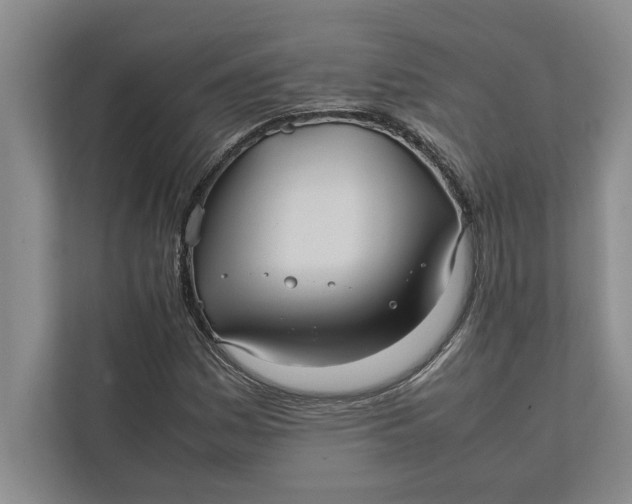 X0000111841161200908131413