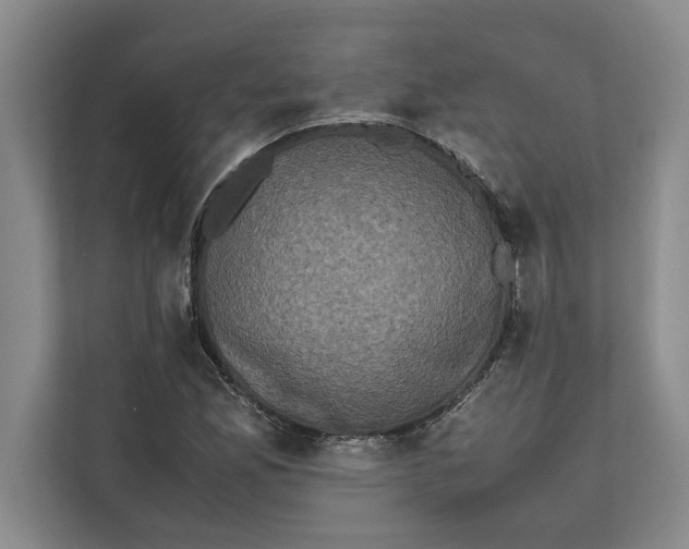 X0000111841165200908131412