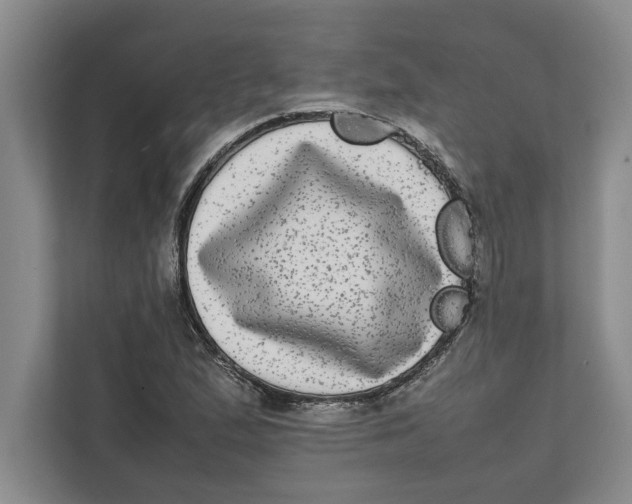 X0000111841167200908131412