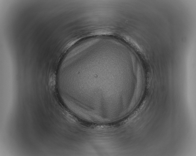 X0000111841169200908131412