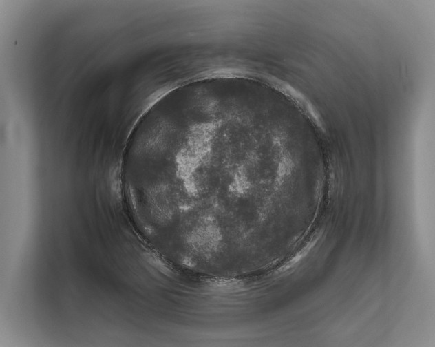 X0000111841170200908131412