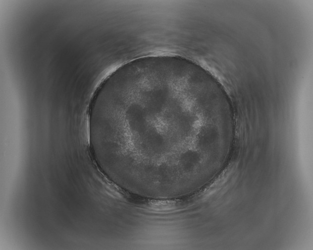 X0000111841171200908131412