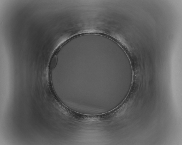 X0000111841173200908131412