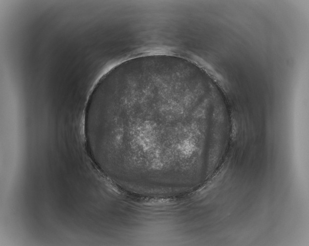 X0000111841174200908131412