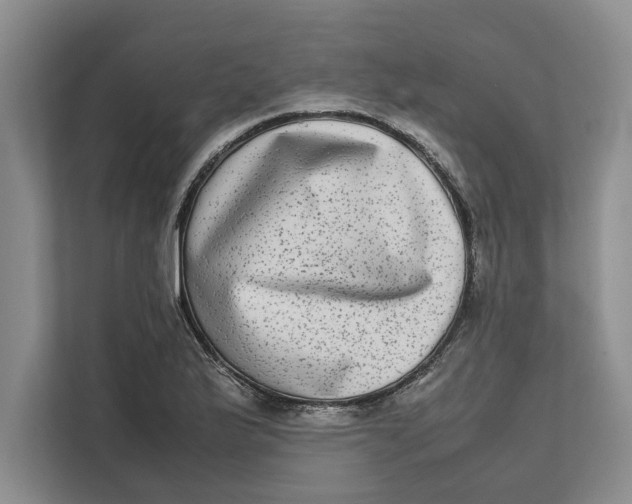 X0000111841175200908131412