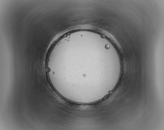 X0000111841176200908131412