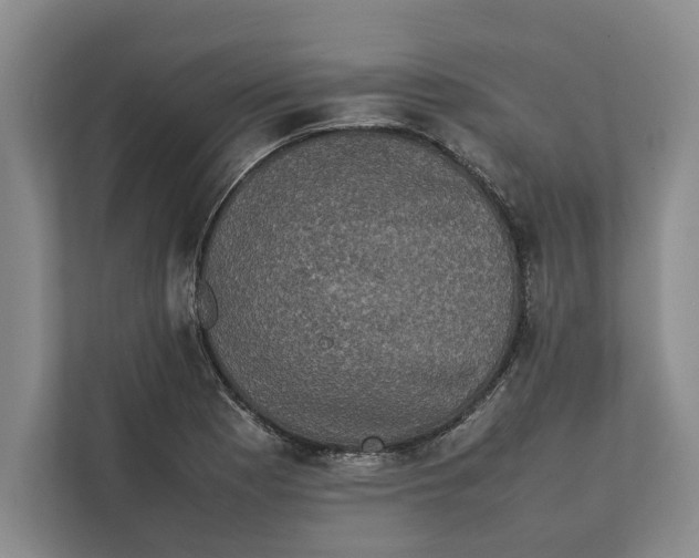 X0000111841177200908131412