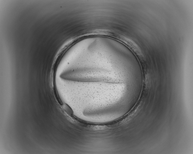 X0000111841180200908131412