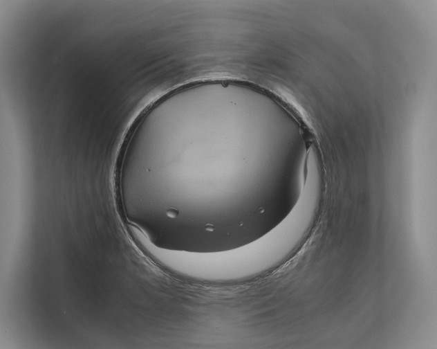 X0000111841181200908131412