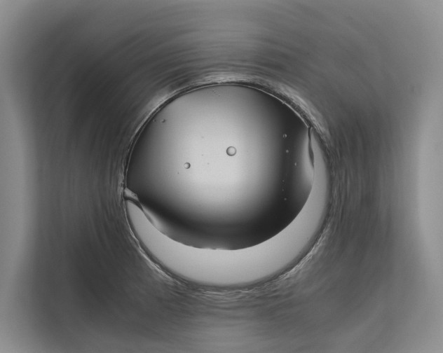 X0000111841185200908131412