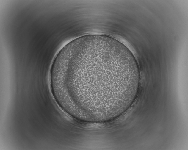 X0000111841187200908131412