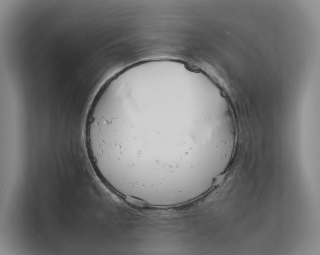 X0000111841189200908131412