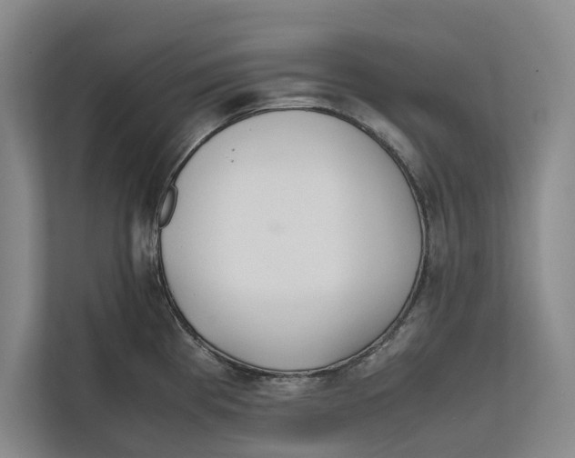 X0000111841193200908131412