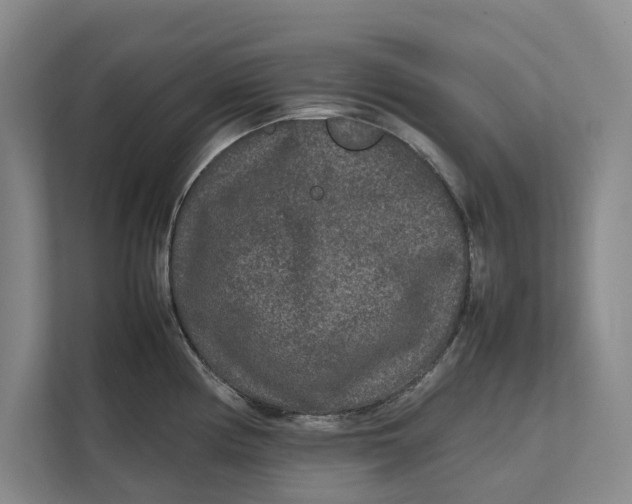 X0000111841194200908131412