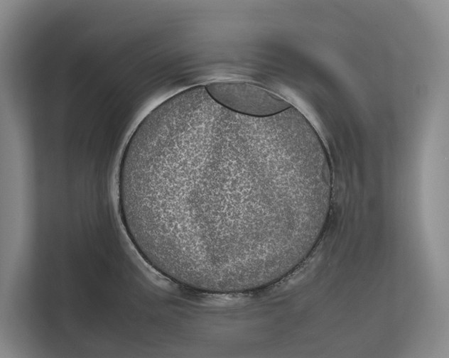 X0000111841195200908131412