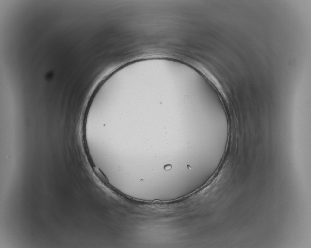 X0000111841197200908131412