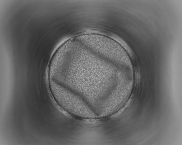 X0000111841198200908131412