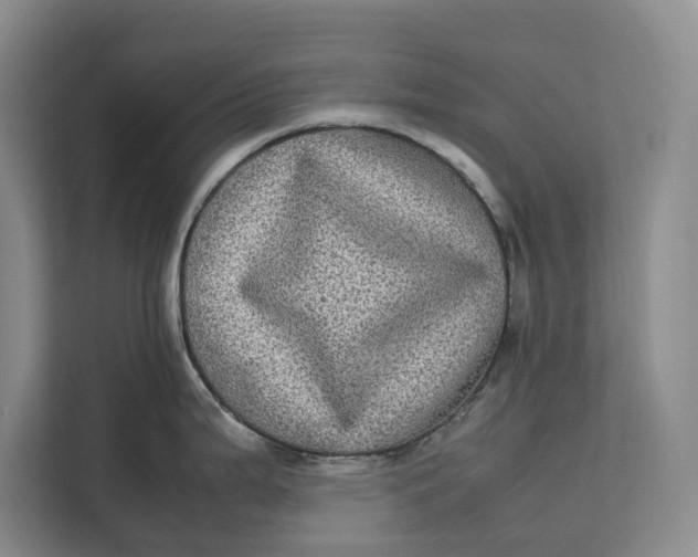 X0000111841199200908131412