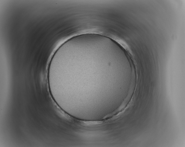 X0000111841200200908131412