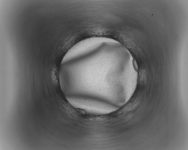 X0000111841202200908131411