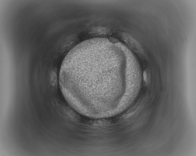 X0000111841203200908131411