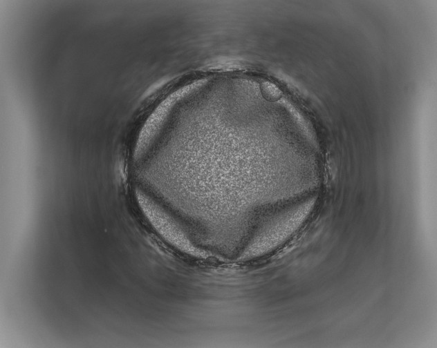 X0000111841206200908131411