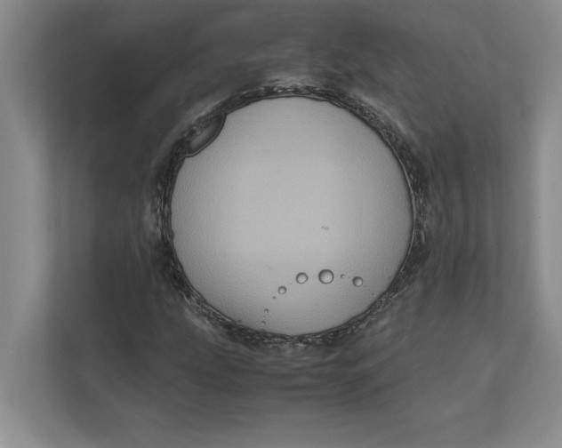 X0000111841207200908131411