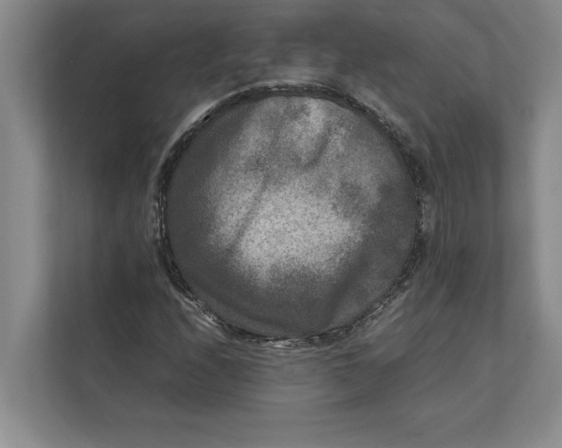 X0000111841208200908131411