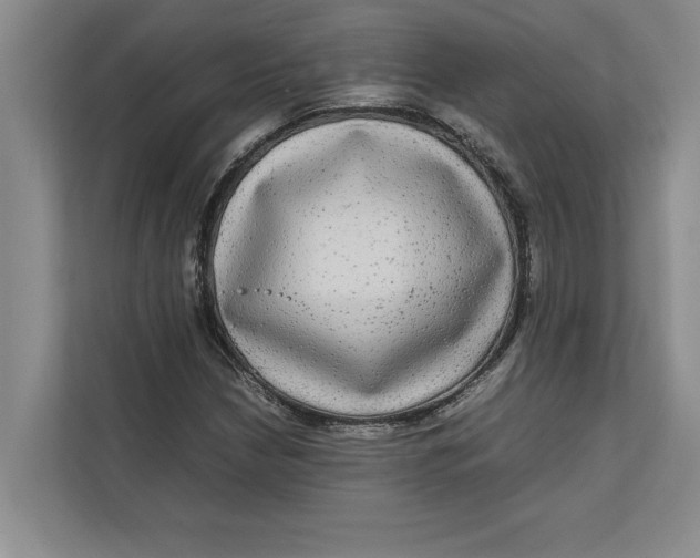 X0000111841210200908131411