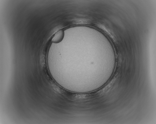 X0000111841211200908131411