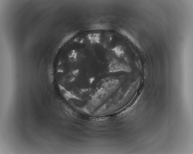 X0000111841213200908131411