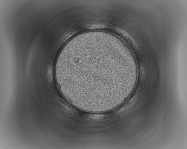 X0000111841217200908131412