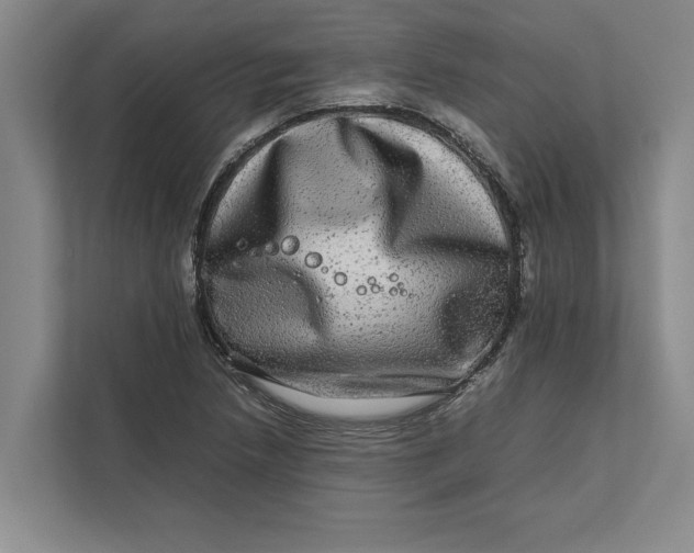 X0000111841218200908131412