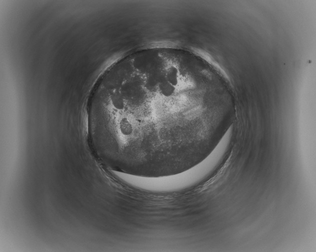 X0000111841221200908131412