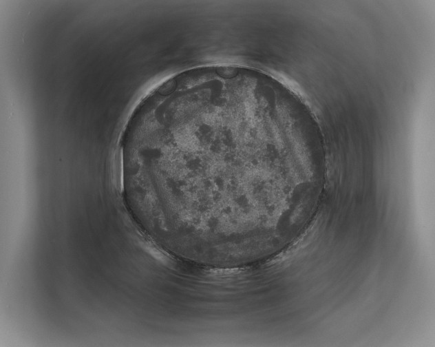 X0000111841223200908131412