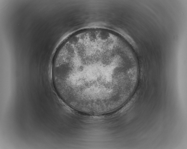 X0000111841224200908131412