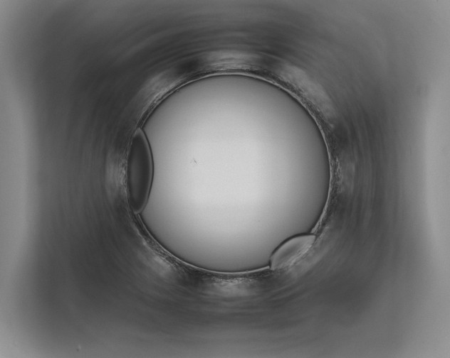 X0000111841225200908131412