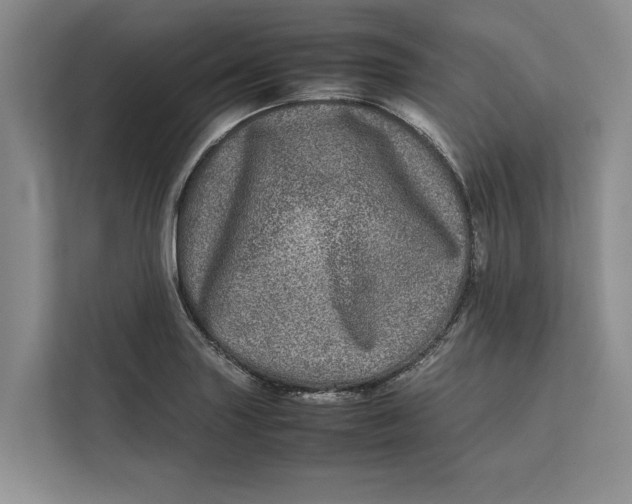 X0000111841227200908131412